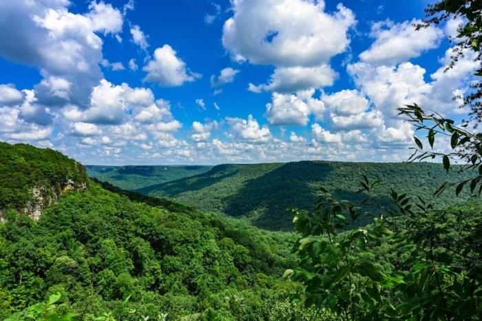 The Smoke House Lodge Monteagle Exteriör bild